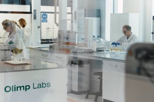 Polska Strefa Inwestycji – Olimp-labs